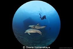 Surprisingly!
Dolphins came to wreck Giannis D unexpecte... by Oxana Kamenskaya 